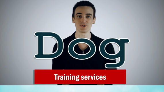 DOG training services - Spokesperson