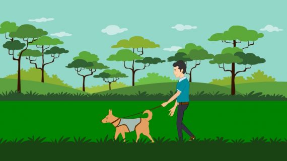 Dog Walking & Sitting Explainer Video